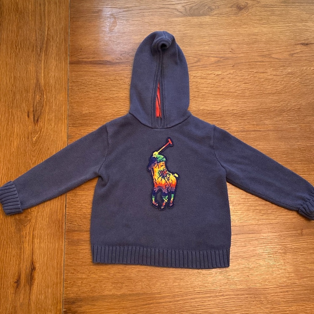 Ralph Lauren Polo hoodie/sweater.